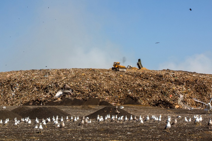 Новосибирские перевозчики пожаловались в ФАС на регоператора мусора