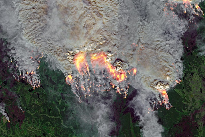 Сибирские пожары выделили 100 мегатонн углекислого газа Сибирские пожары выделили 100 мегатонн углекислого газа