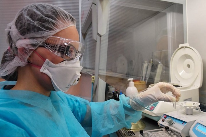 Почти 70 новых случаев коронавируса зафиксировано в Сибири