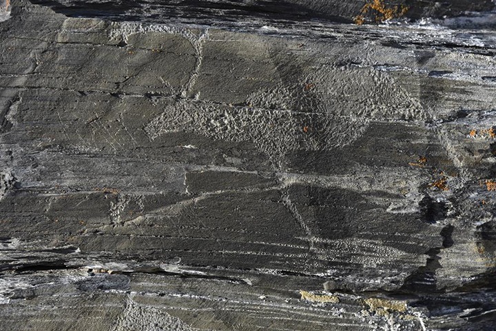 Охота на китов и травля медведя: что изображали на скалах древние жители Сибири Охота на китов и травля медведя: что изображали на скалах древние жители Сибири