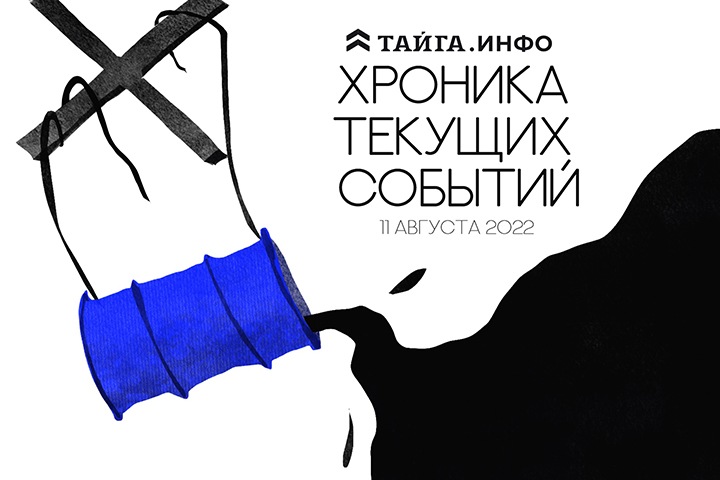 Хроника текущих событий. Экономика, общество, политика. Выпуск 160