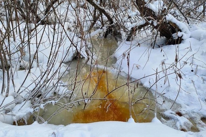 Психиатрическая больница сливала неочищенные стоки в новосибирскую реку Психиатрическая больница сливала неочищенные стоки в новосибирскую реку