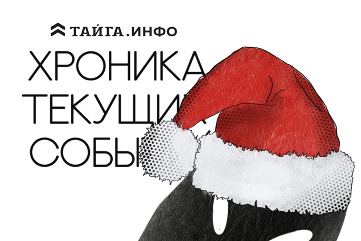 Хроника текущих событий. Экономика, общество, политика. Выпуск 293