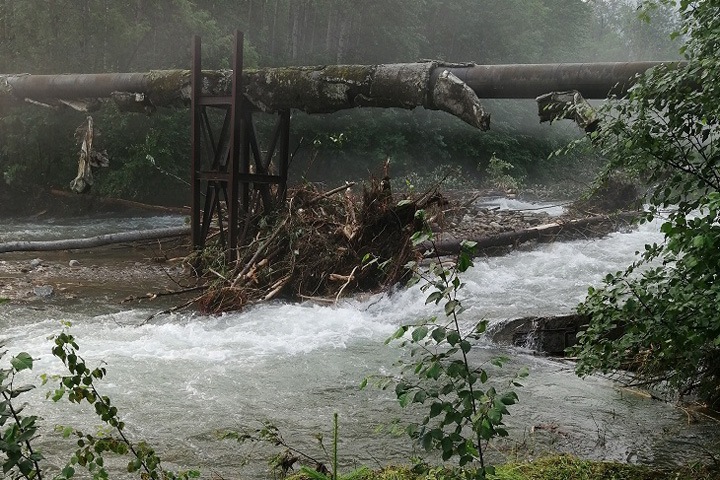 Южный Байкал станет непригоден для жизни после попадания в озеро отходов БЦБК — ученый