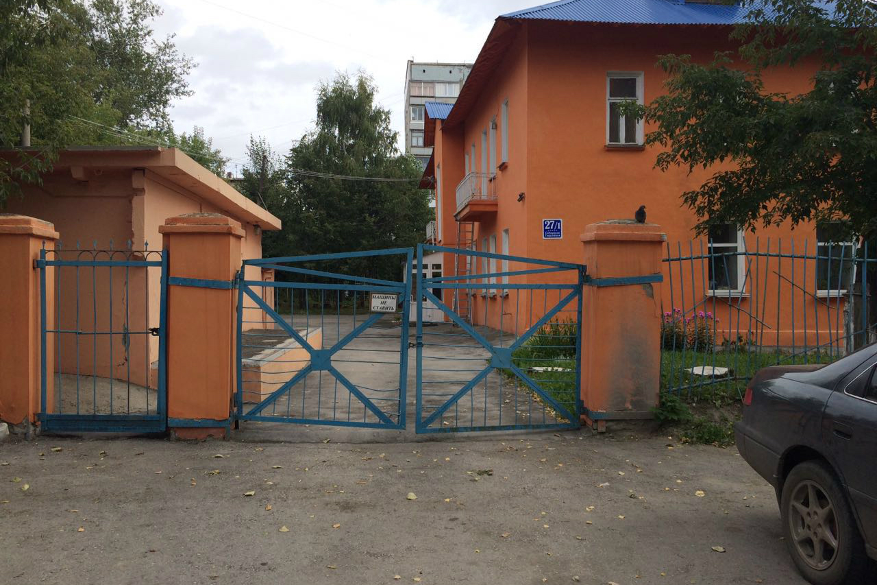 Жительница Новосибирска судится с детсадом за упавший на машину и сына снег