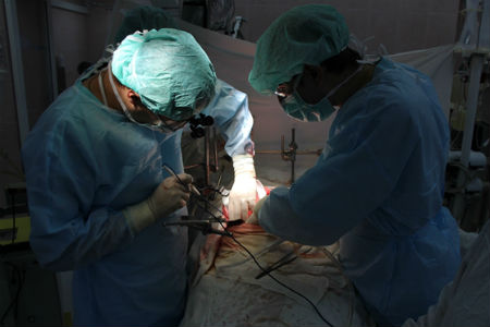 Новосибирские власти изменили требования к проектировщику онкоцентра