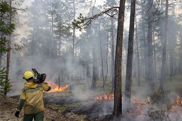 Регионам Сибири предложили найти средства на казаков для пожарной безопасности Регионам Сибири предложили найти средства на казаков для пожарной безопасности