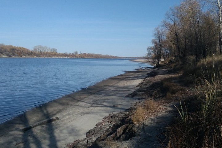 Тело женщины без головы и рук нашли на берегу под Новосибирском Тело женщины без головы и рук нашли на берегу под Новосибирском