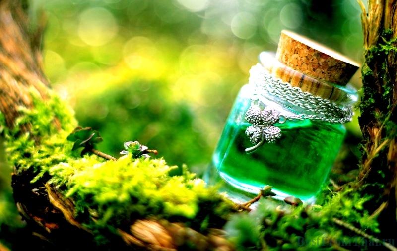 Натуральная тайская косметика в интернет-магазине sabaicosmetic.ru Натуральная тайская косметика в интернет-магазине sabaicosmetic.ru