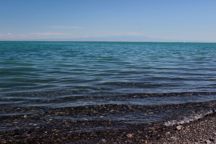 Железные дороги планируют запустить поезд из Новосибирска на казахстанский курорт Железные дороги планируют запустить поезд из Новосибирска на казахстанский курорт