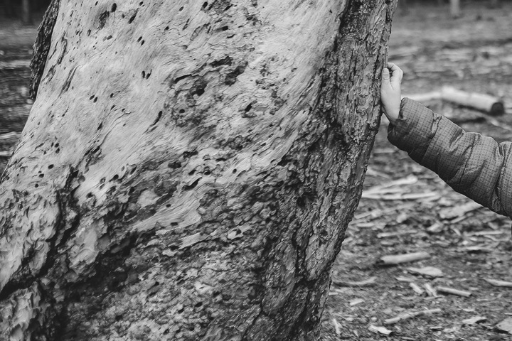 Сестра погибшей в «Зимней вишне» девочки умерла под рухнувшей лестницей на детской площадке