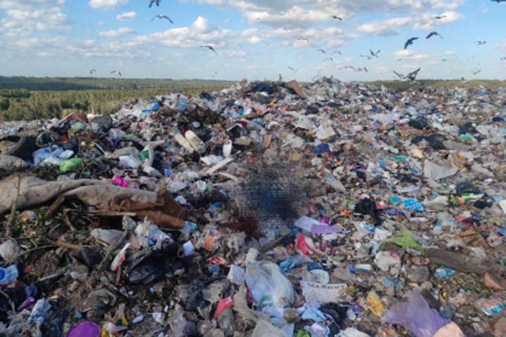Завернутый в пленку труп вывезли на свалку в Новосибирске