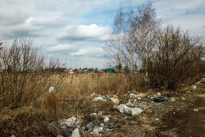 Разработчик новосибирского карьера отрицает нападение своих сотрудников на местных активистов