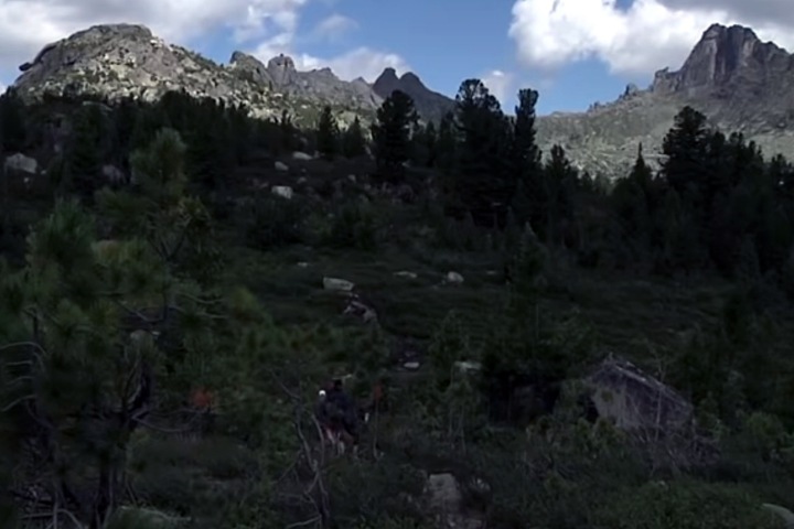 Медведь растерзал спортсмена из Москвы в красноярском парке