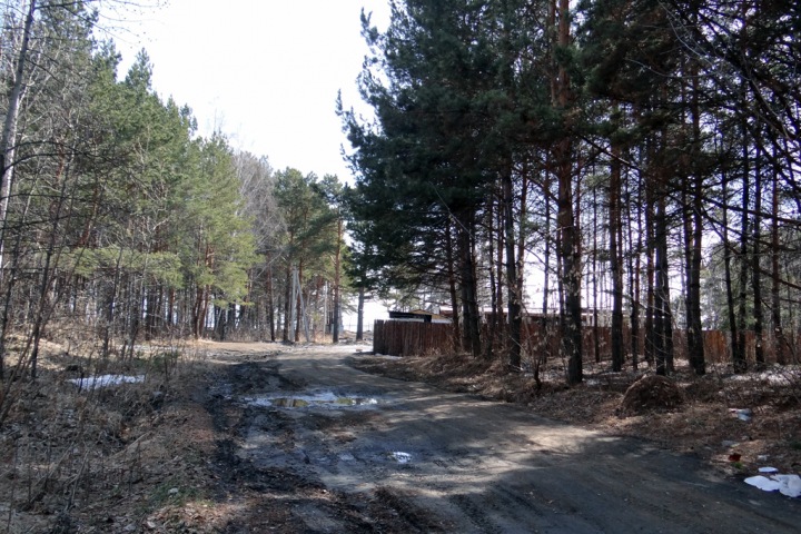 Выделявшуюся ветеранам землю у Новосибирского водохранилища выставили на продажу Выделявшуюся ветеранам землю у Новосибирского водохранилища выставили на продажу