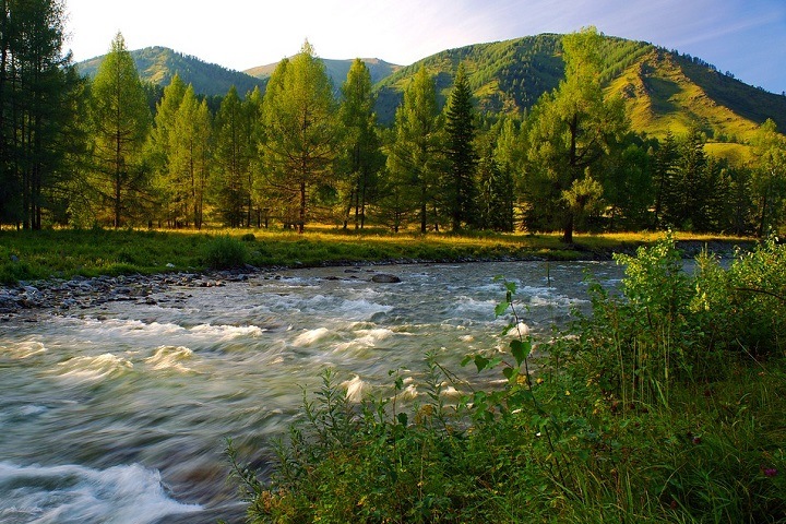 Алтай, Хакасия и Тува: где провели лето сибиряки