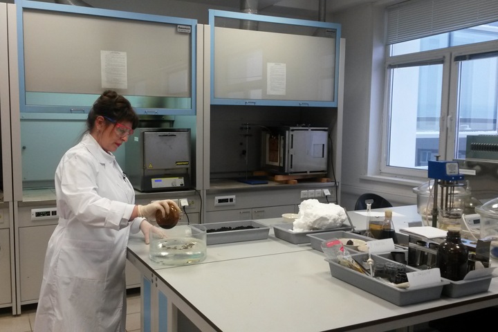 Нефтеемкость сорбентов ученых СФУ в 10 раз превышает аналоги