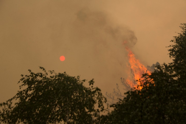 Советник главы Рослесхоза: Тушение пожаров самолетами в Сибири разорит нас