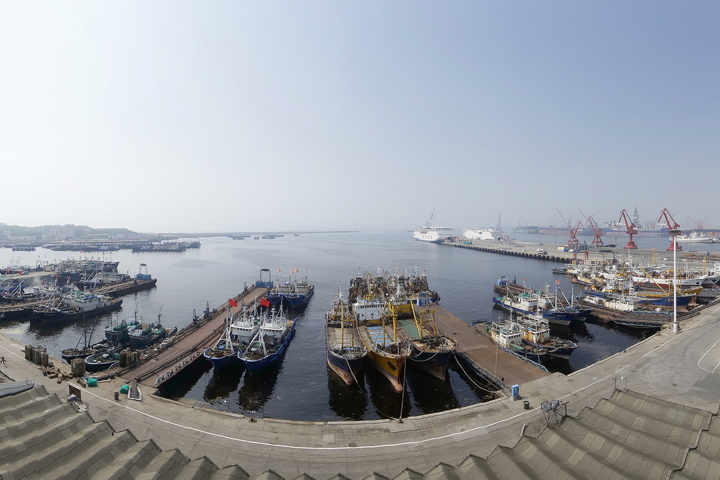 Китай открыл дополнительный маршрут для импорта древесины через Новосибирск Китай открыл дополнительный маршрут для импорта древесины через Новосибирск