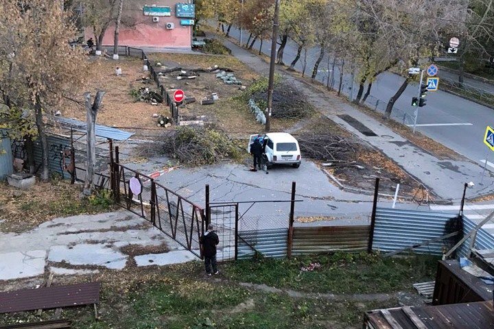 Новосибирцы соберутся для обсуждения точечной застройки у лицея №22