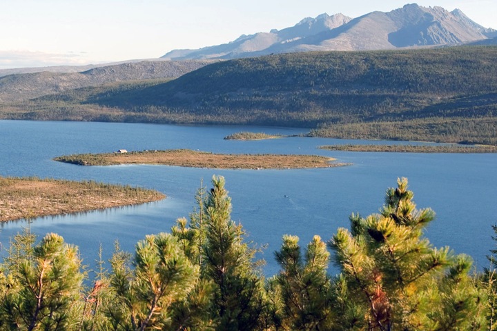 Цена лесных пожаров, климатический протест и бургер будущего. Сибирь за неделю