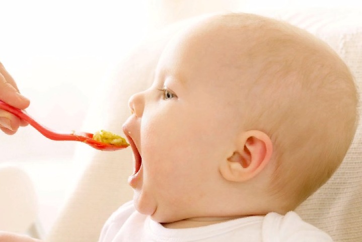 Важность первого прикорма Важность первого прикорма