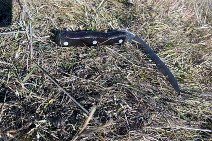 Иркутские супруги избили и зарезали женщину на отдыхе Иркутские супруги избили и зарезали женщину на отдыхе