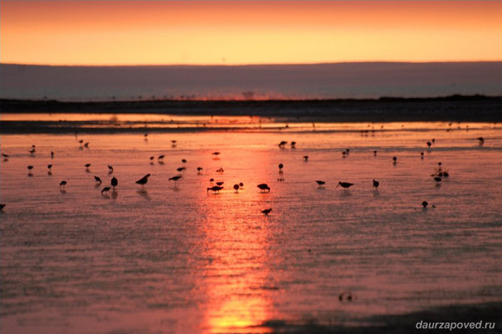 «Ландшафты Даурии» внесли в список Всемирного наследия ЮНЕСКО