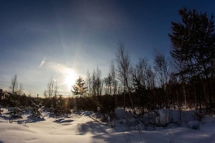Горсовет Новосибирска отложил рассмотрение генплана из-за леса Горсовет Новосибирска отложил рассмотрение генплана из-за леса