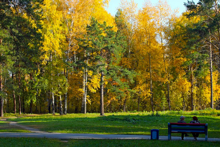 Владимир Городецкий предложил новосибирцам разработать концепцию городского парка на 20-25 га Владимир Городецкий предложил новосибирцам разработать концепцию городского парка на 20-25 га