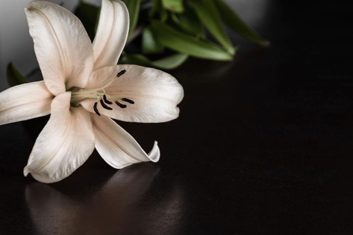 Услуги ритуальной службы в Екатеринбурге Услуги ритуальной службы в Екатеринбурге