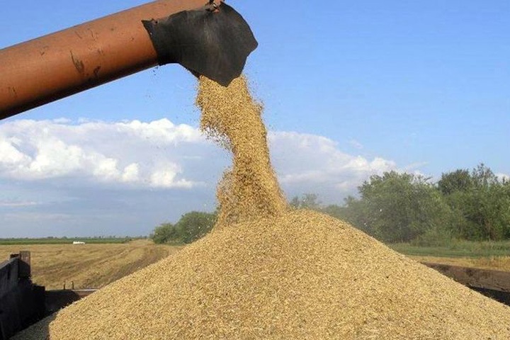 Травников признал, что договоренности по зерну не реализовываются в полном объеме