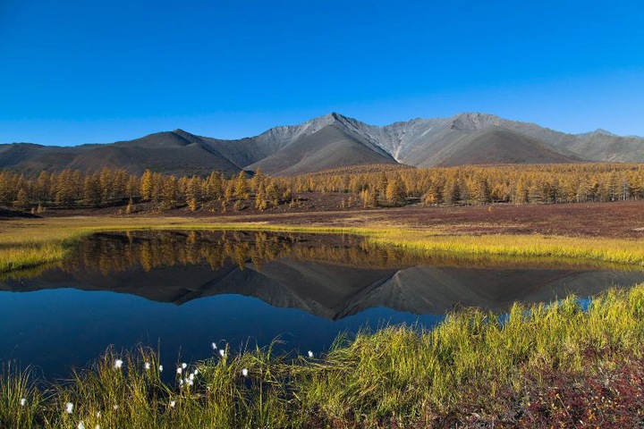 Сибирь стала чаще гореть, пузырьки воздуха очистят северные реки от нефти. Наука недели Сибирь стала чаще гореть, пузырьки воздуха очистят северные реки от нефти. Наука недели