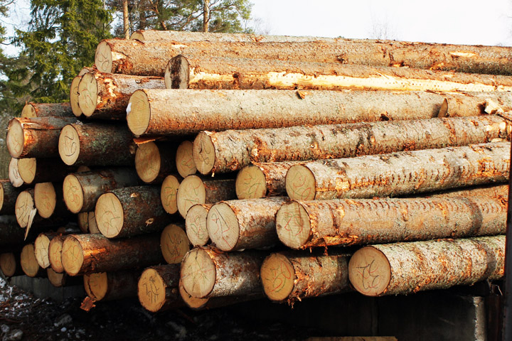 Китайцы вложат до 1 млрд рублей в бурятский лес Китайцы вложат до 1 млрд рублей в бурятский лес