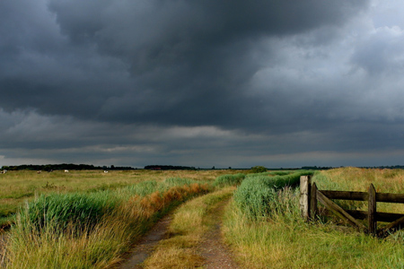Штормовое предупреждение объявлено в Западной Сибири Штормовое предупреждение объявлено в Западной Сибири