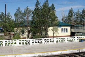 87-летний ветеран в Забайкалье убил пьяного рецидивиста, пытавшегося его ограбить — СК РФ 87-летний ветеран в Забайкалье убил пьяного рецидивиста, пытавшегося его ограбить — СК РФ