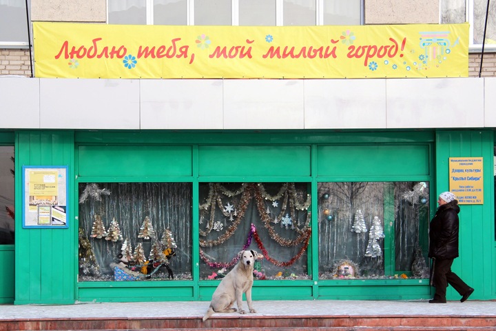 Скандальную управляющую компанию Оби решили обанкротить