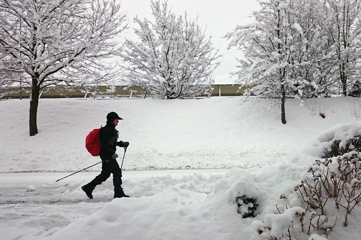 Скандинавская ходьба вдвое повысила работоспособность сибирских женщин Скандинавская ходьба вдвое повысила работоспособность сибирских женщин