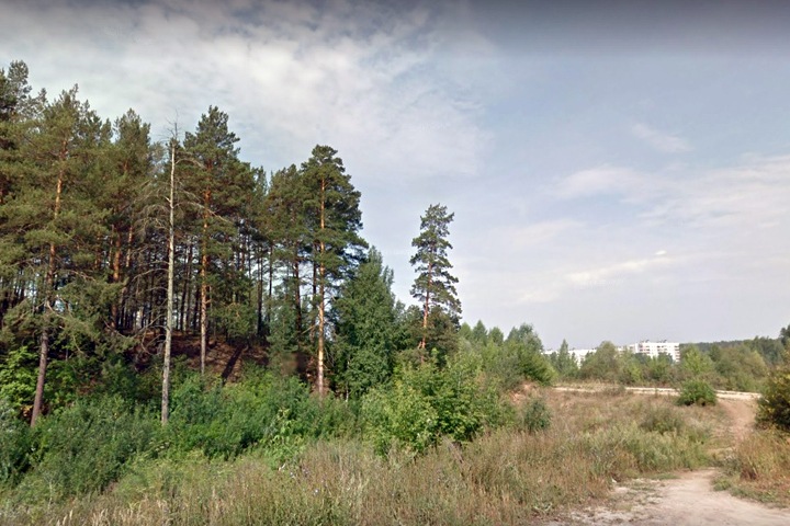 Жители не отдали Нижнюю Ельцовку под комплексную застройку