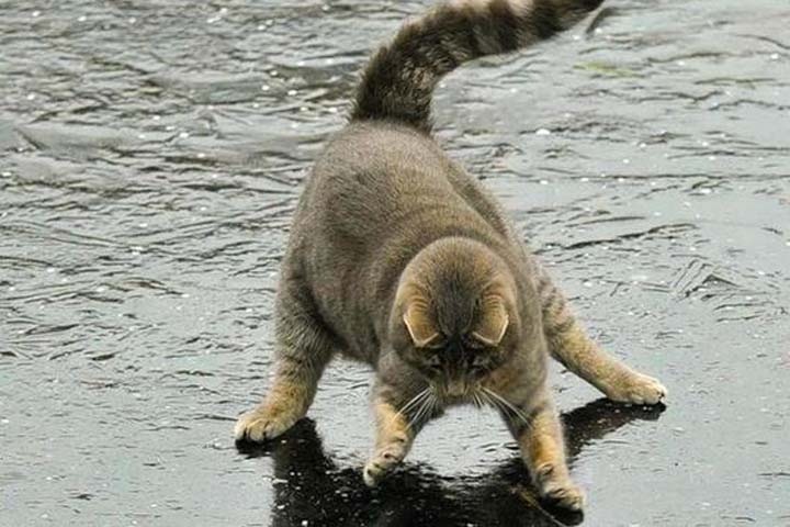 Снег и сильную гололедицу пообещали новосибирцам