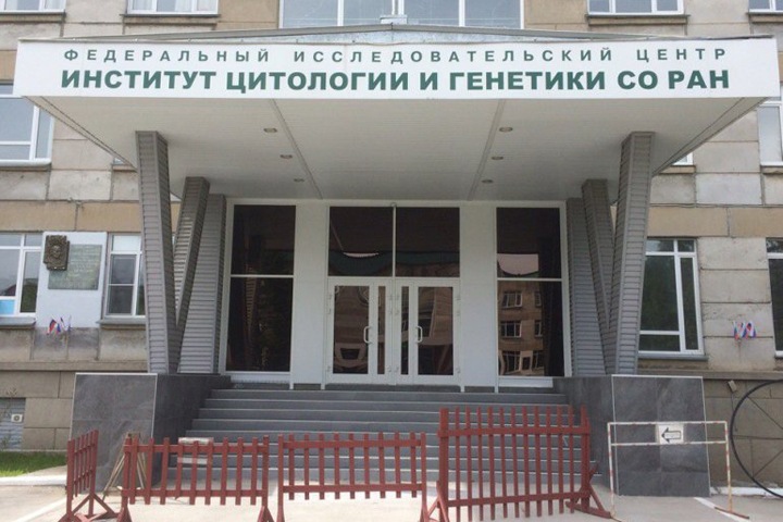 Новосибирские исследователи получают в три раза меньше обещанного Путиным Новосибирские исследователи получают в три раза меньше обещанного Путиным