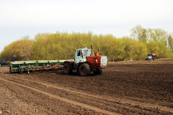 Новосибирские власти нашли 100 млн на кредиты аграриям