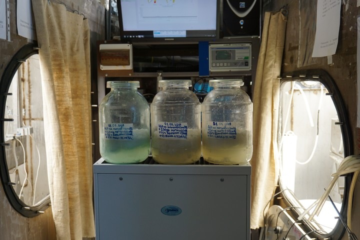 Способ утилизировать бытовые отходы в космосе нашли красноярские ученые Способ утилизировать бытовые отходы в космосе нашли красноярские ученые