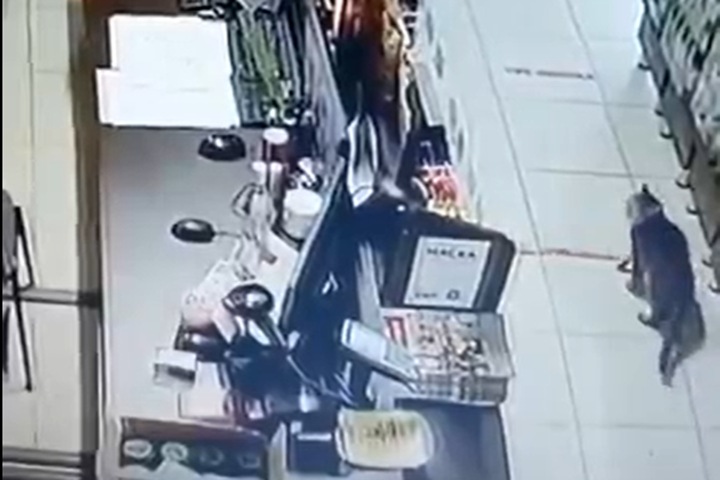 Кот вошел в магазин под Новосибирском и случайно вызвал группу быстрого реагирования Кот вошел в магазин под Новосибирском и случайно вызвал группу быстрого реагирования