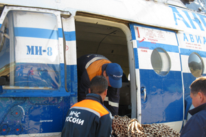 Пятилетний ребенок получил множественные травмы, сорвавшись со скалы на Байкале