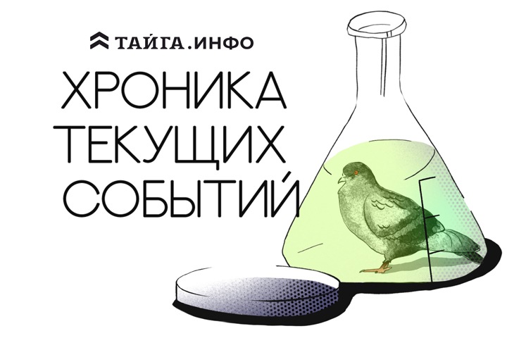 Хроника текущих событий. Экономика, общество, политика. Выпуск 249