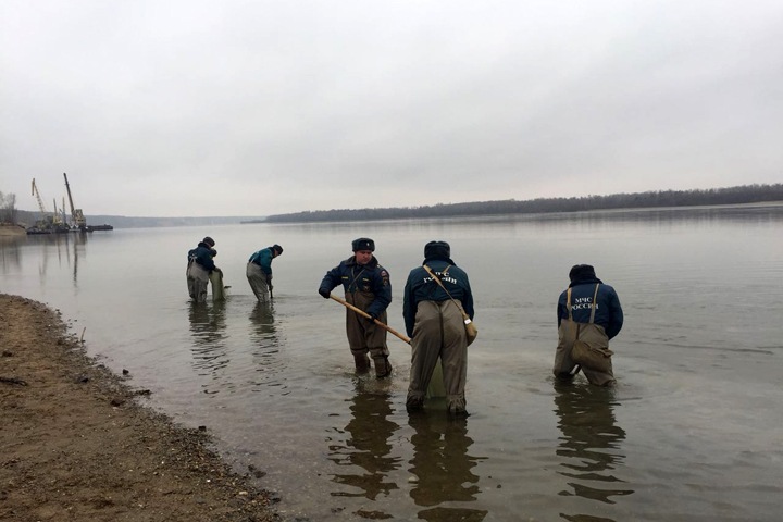 Утечку нефтепродуктов в Обь ликвидируют под Новосибирском