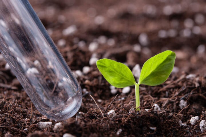 Планта групп высокотехнологичные экологичные микроудобрения Планта групп высокотехнологичные экологичные микроудобрения