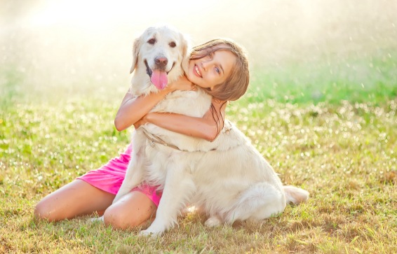 Уход и лечение домашних животных с сервисом PetStory