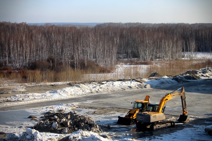 Кто вырубит тысячи гектаров сибирского леса